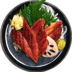 Unagi 