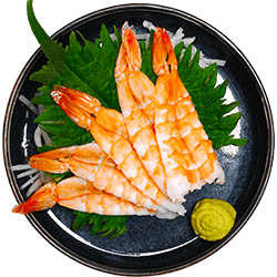  Ebi Sashimi